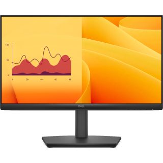 Dell 22"