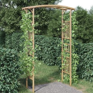 vidaXL Arche pour rosiers Bambou 118x40x187 cm