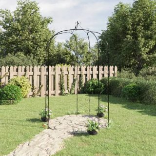 Vidaxl Arche de jardin - Ø180x255 cm - Acier - Couleur Noir - Structure Métal