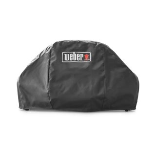 Weber Pulse 1000
