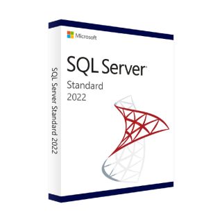 Microsoft SQL Server Standard 2022 - 24 cœurs