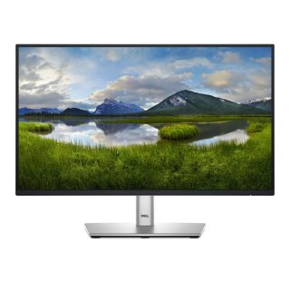 Dell 22"