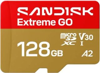 SanDisk Extreme GO 128 Go Carte MicroSDXC