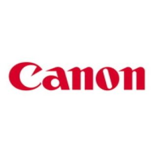 Canon Cartouche CEXV29