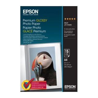 Epson Papier photo A4 brillant - C13S042155