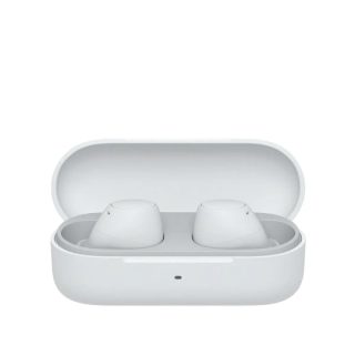 Sony WF-C510