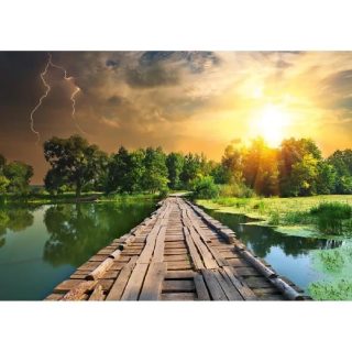 Ravensburger Puzzle adulte 1000 pièces Lumière mystique