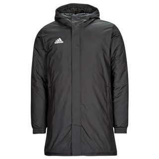 Parka adidas ENT22 STADJKT