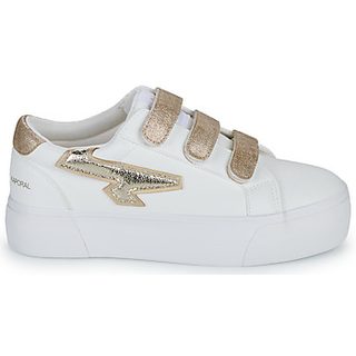 Baskets basses Kaporal  CLOVIA 