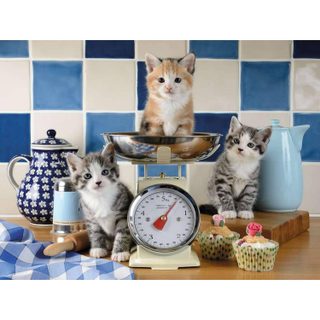 Ravensburger Puzzle adulte 1500 pièces