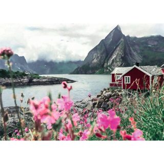 Puzzle 1000 pièces : Reine, Lofoten, Norvège - Ravensburger - France