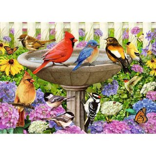 Ravensburger Puzzle Puzzle 500 Pièces Extra Grandes L’abreuvoir Oiseaux