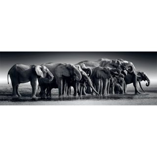 Puzzle Panorama 1000 pièces : Troupeau de Géants - Clementoni - Puzzles