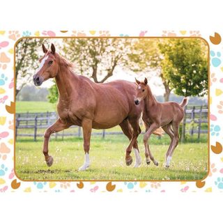 Puzzle 60 pièces : Maman et bébé cheval - Ravensburger - Nathan