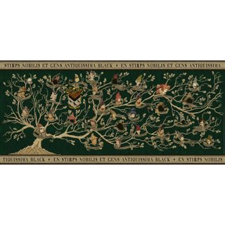 Ravensburger Harry Potter Puzzle 2000 pièces 17299 Panorama 132x61 cm
