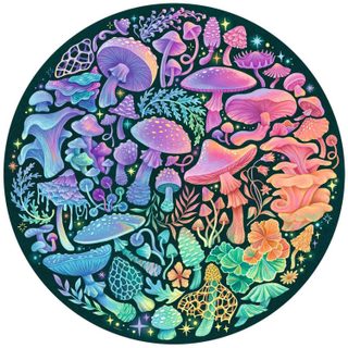 Puzzle rond 500 pièces : Champignons (Circle of Colors) - Ravensburger - France