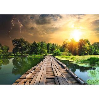 Ravensburger puzzle 1000 Pieces-lumiere Mystique-adultes Et Enfants-des 14 Ans-puzzle De Qualité Supérieure-12000305