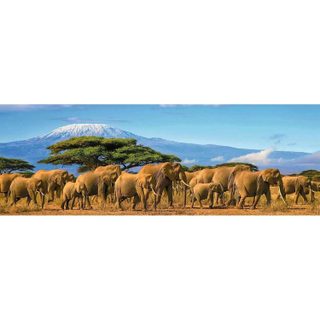 Puzzle 500 pièces panoramique : Troupeau d?éléphants - Ravensburger - Nathan