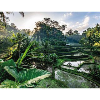 Puzzle 2000 pièces : Au coeur de Bali - Ravensburger - Nathan