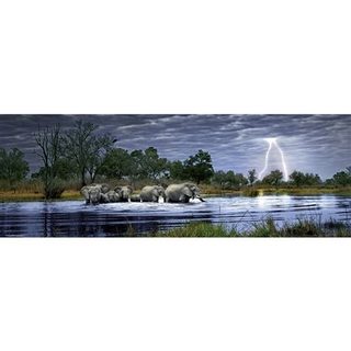 2000 pièces panoramique Edition Alexander Humboldt Alex Bernasconi : Troupeau d'éléphants Heye
