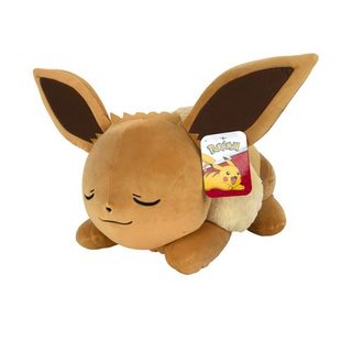 Pokémon Sleeping Evoli