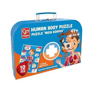60 pièces Hape Corps humain
