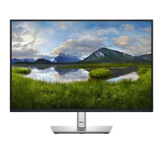 Dell P2425E 24.07"