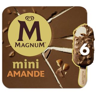Magnum glace bâtonnet amande 6x55ml