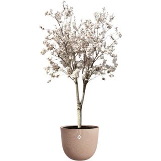 Pot de fleurs - SEREH - Plastique - Marron - Rond - Ø47xH40cm - 100% récyclé - ELHO