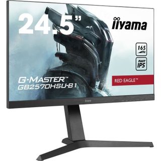 Iiyama G-Master