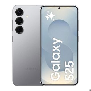 SAMSUNG Galaxy S25 512 Go