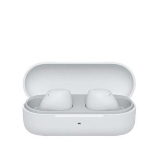 Sony WF-C510