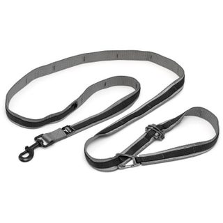 Kurgo Laisse mains libres - QUANTUM - 6 positions - 120 a 180 cm