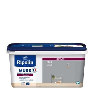 RIPOLIN Peinture Couleur Velours pour Murs Boiseries Radiateurs - Gris galet