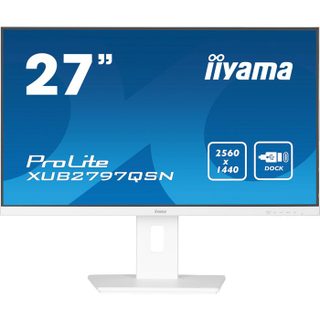 Iiyama G-MASTER