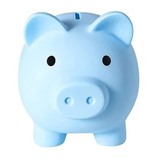 BITSPOWER RULING PIGGY BANK UNBREAKABLE PLASTIC MONEY BANK COIN BANK FOR GIRLS