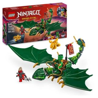 LEGO NINJAGO 71829 Le dragon vert de la forêt de Lloyd - Jeu de construction dès 6 ans