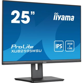 Iiyama (2x2.0)