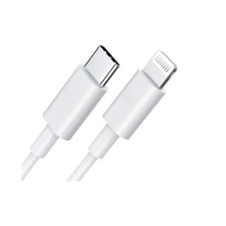 DLH DY-TU4090W - Câble Lightning - Lightning mâle pour 24 pin USB-C mâle - 1 m - blanc - pour Apple iPad/iPhone/iPod (Lightning)