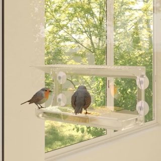 Vidaxl Mangeoires à oiseaux de fenêtre 2 pcs Acrylique 30x12x15 cm 318304