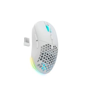 Souris - NEWSKILL - New alternative technologies - Rétroéclairage RGB - Design ambidextre - Sans fil 24 GHz