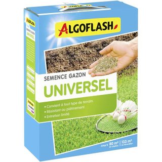 Semences gazon Universel - Résistant au piétinement - 2 kg - Jusquà 80m² création / Jusquà 133m² rénovation - ALGOFLASH
