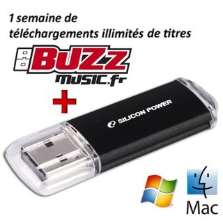 SILICON POWER Clé USB 2.0 Ultima II i-Series - 8 GB - Noir