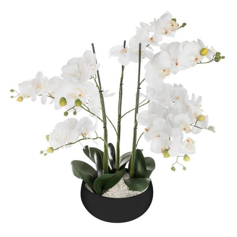 Atmosphera Fleur Artificielle Pot Ciment Orchidée 65cm