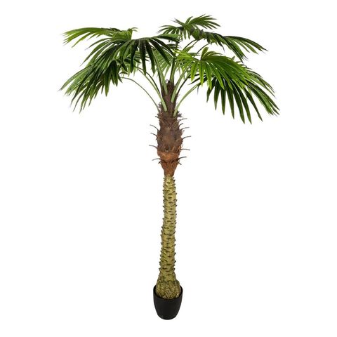 Atmosphera Plante Artificielle Déco Palmier 180cm