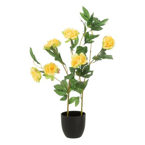 J-line Fleur Artificielle en Pot Pivoine 80cm