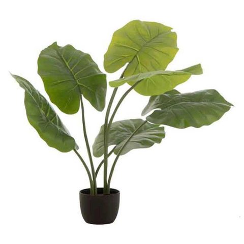 J-line Plante Artificielle Taro Sauvage 78cm