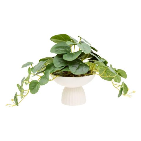 Atmosphera Plante Artificielle Pilea Nippo 29cm