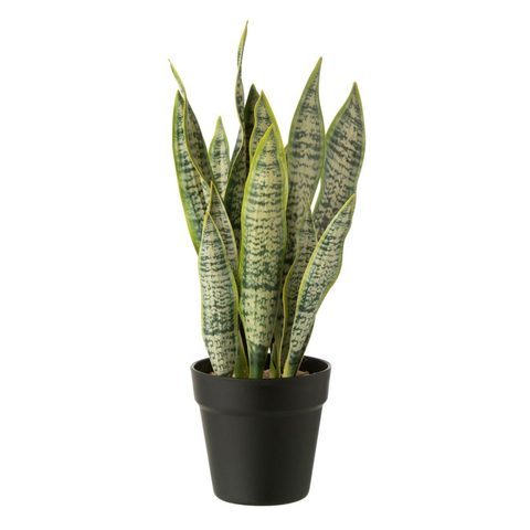 J-line Plante Artificielle en Pot Dracaena Trifasciata 47cm