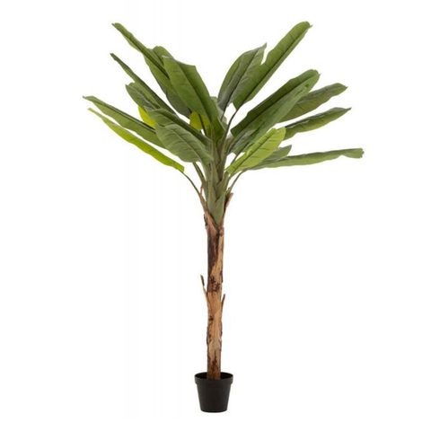 J-line Plante Artificielle en Pot Bananier 250cm
